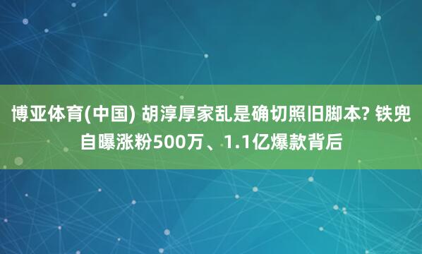 博亚体育(中国) 胡淳厚家乱是确切照旧脚本? 铁兜自曝涨粉500万、1.1亿爆款背后