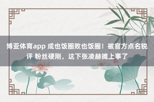 博亚体育app 成也饭圈败也饭圈！被官方点名锐评 粉丝硬刚，这下张凌赫摊上事了