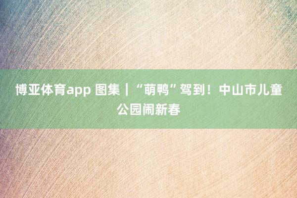 博亚体育app 图集|“萌鸭”驾到!中山市儿童公园闹新春