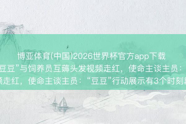 博亚体育(中国)2026世界杯官方app下载 上海野纯真物园蜘蛛猴“豆豆”与饲养员互薅头发视频走红，使命主谈主员：“豆豆”行动展示有3个时刻段