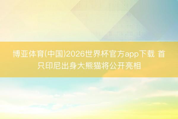 博亚体育(中国)2026世界杯官方app下载 首只印尼出身大熊猫将公开亮相