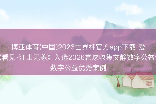 博亚体育(中国)2026世界杯官方app下载 爱尔眼科《看见·江山无恙》入选2026寰球收集文静数字公益优秀案例