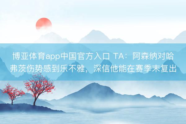 博亚体育app中国官方入口 TA：阿森纳对哈弗茨伤势感到乐不雅，深信他能在赛季末复出