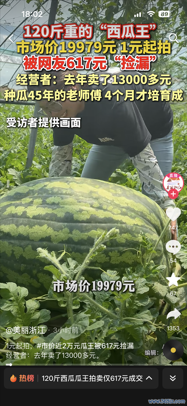 120斤西瓜瓜王拍卖仅617元成交！市集价19979元 旧年同款拍到1.3万