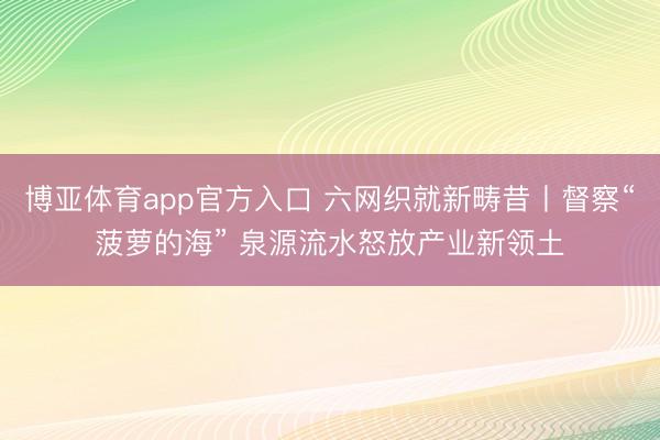 博亚体育app官方入口 六网织就新畴昔丨督察“菠萝的海” 泉源流水怒放产业新领土