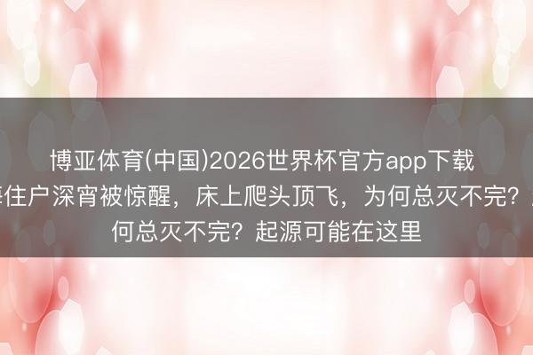 博亚体育(中国)2026世界杯官方app下载 全楼崩溃！上海住户深宵被惊醒，床上爬头顶飞，为何总灭不完？起源可能在这里