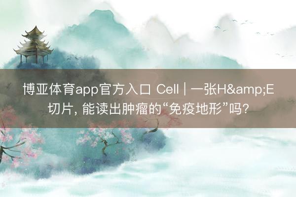 博亚体育app官方入口 Cell | 一张H&E切片， 能读出肿瘤的“免疫地形”吗?